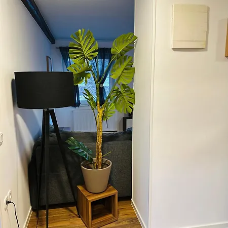 Montis Guest house *